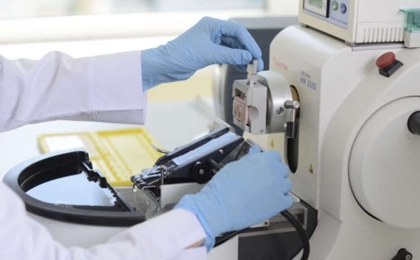 検査をする臨床技師