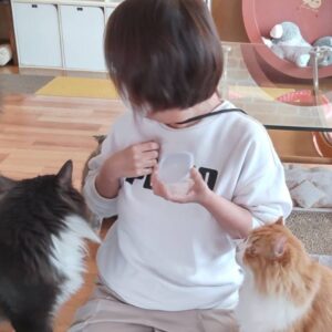佳奈